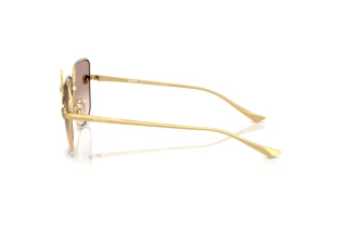 Seitenansicht Versace VE2282 (10028Z)