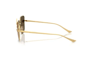 Seitenansicht Versace VE2282 (K0030W)