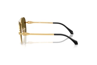 Seitenansicht Versace VE2283 (10027I)