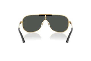 Rückansicht Versace VE2293 (100287)