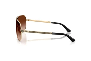 Seitenansicht Versace VE2293 (125213)