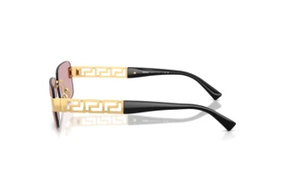 Seitenansicht Versace VE2298 (10021T)