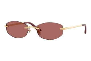 Vorderansicht Versace VE2308D (152369)