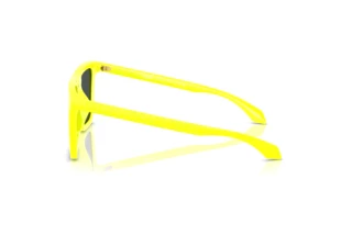 Seitenansicht Versace VE4468U (544987)