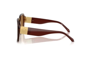 Seitenansicht Versace VE4472D (5028/O)