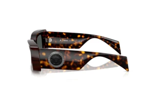 Seitenansicht Versace VE4474U (108/87)