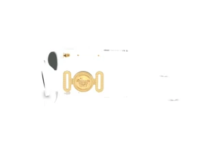 Seitenansicht Versace VE4480U (314/87)