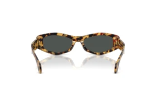 Rückansicht Versace VE4487 (777/87)