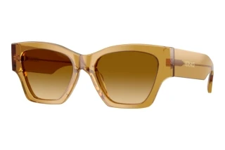 Vorderansicht Versace VE4492U (53472L)