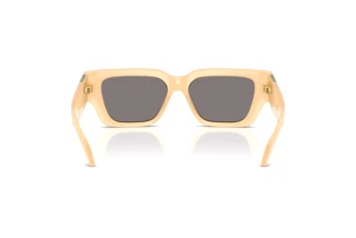 Rückansicht Versace VE4497U (554473)