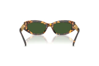 Rückansicht Versace VE4501 (551471)