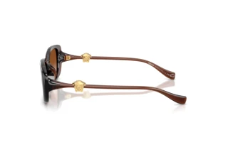 Seitenansicht Versace VE4504D (533213)