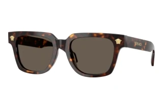 Vorderansicht Versace VE4510U (108/3)
