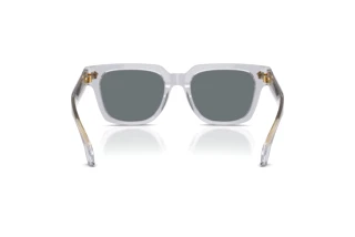 Rückansicht Versace VE4510U (530580)