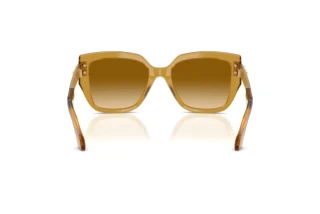 Rückansicht Versace VE4517U (53472L)