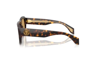 Seitenansicht Versace VE4518U (108/73)