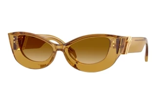 Vorderansicht Versace VE4520U (53472L)