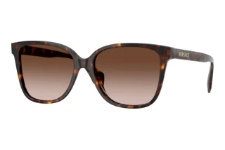 Vorderansicht Versace VE4523 (108/13)