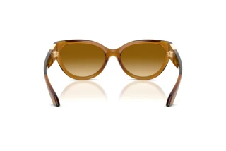 Rückansicht Versace VE4524U (53472L)