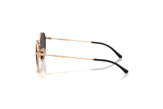 Seitenansicht Vogue Eyewear VJ1002 (515287)