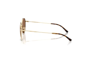 Seitenansicht Vogue Eyewear VJ1002 (848/73)