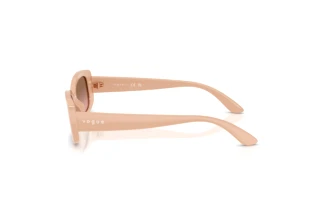 Seitenansicht Vogue Eyewear VJ2031 (326314)