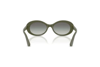 Rückansicht Vogue Eyewear VJ2032 (326411)