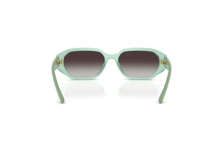 Rückansicht Vogue Eyewear VJ2034 (32748G)