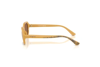 Seitenansicht Vogue Eyewear VJ2035 (327373)