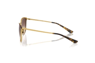 Seitenansicht Vogue Eyewear VO4002S (507813)
