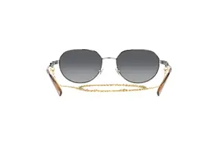 Rückansicht Vogue Eyewear VO4254S (548/T3)