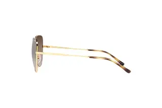 Seitenansicht Vogue Eyewear VO4255S (280/13)