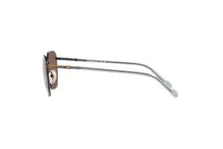 Seitenansicht Vogue Eyewear VO4257S (513773)