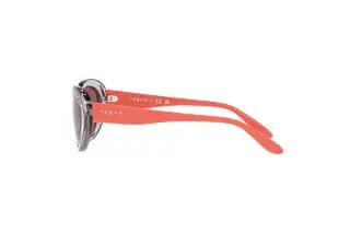 Seitenansicht Vogue Eyewear VO5456S (272669)