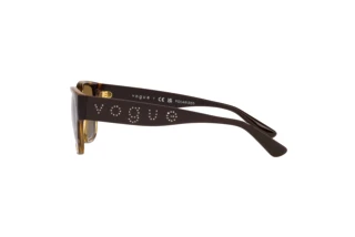 Seitenansicht Vogue Eyewear VO5459SB (W656T5)