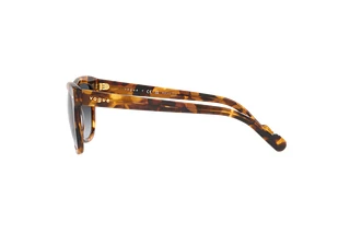 Seitenansicht Vogue Eyewear VO5465S (2819T3)