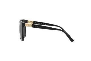Seitenansicht Vogue Eyewear VO5476SB (W44/87)