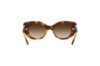 Rückansicht Vogue Eyewear VO5480S (W65613)