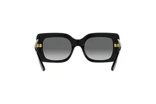 Rückansicht Vogue Eyewear VO5481S (W44/11)