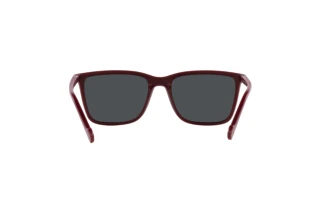 Rückansicht Vogue Eyewear VO5493S (304887)