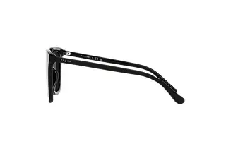 Seitenansicht Vogue Eyewear VO5499SD (W44/87)