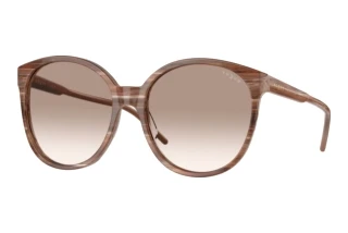 Vorderansicht Vogue Eyewear VO5509S (307113)