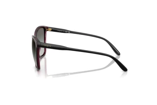 Seitenansicht Vogue Eyewear VO5520S (298911)