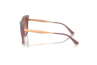 Seitenansicht Vogue Eyewear VO5521S (310014)