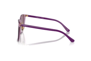 Seitenansicht Vogue Eyewear VO5537SD (29228H)
