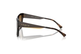 Seitenansicht Vogue Eyewear VO5553S (W656T5)