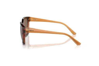 Seitenansicht Vogue Eyewear VO5558S (313473)