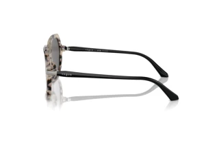Seitenansicht Vogue Eyewear VO5561S (307681)