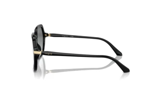 Seitenansicht Vogue Eyewear VO5561S (W44/11)