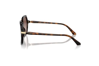 Seitenansicht Vogue Eyewear VO5561S (W65613)